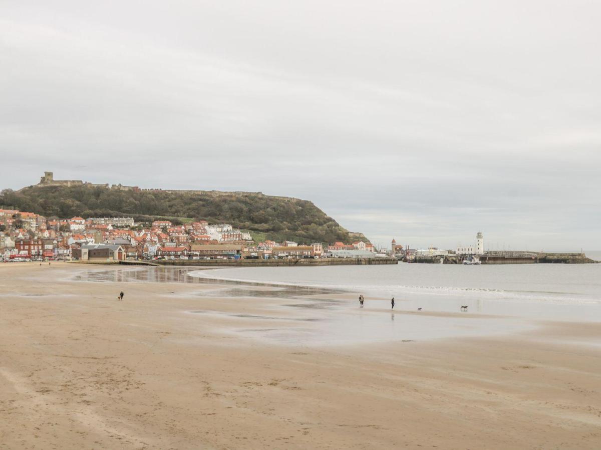 7A Belvoir Terrace Scarborough Eksteriør billede